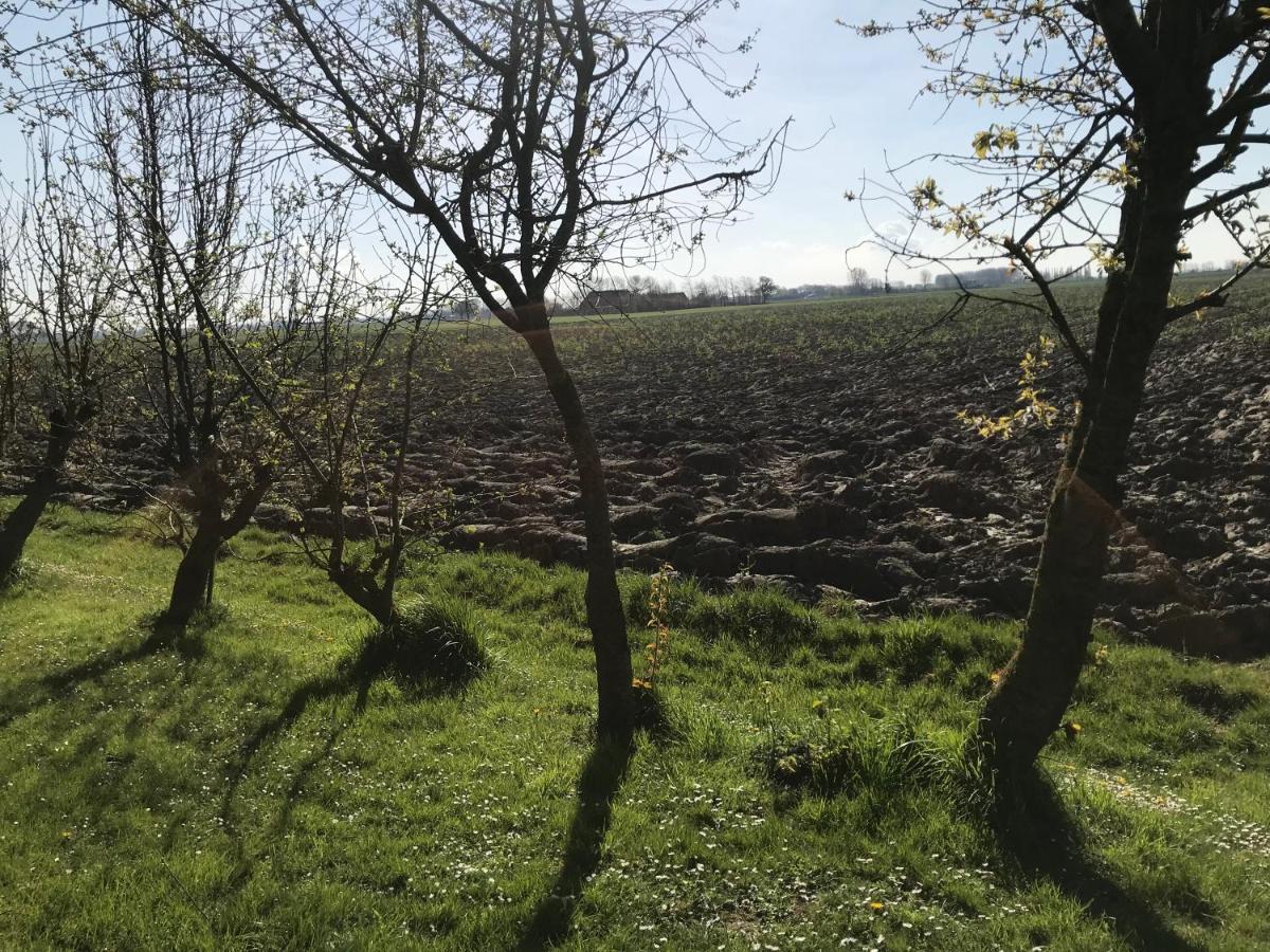 Dijkhuisje Zeeland Waterlandkerkje Екстериор снимка