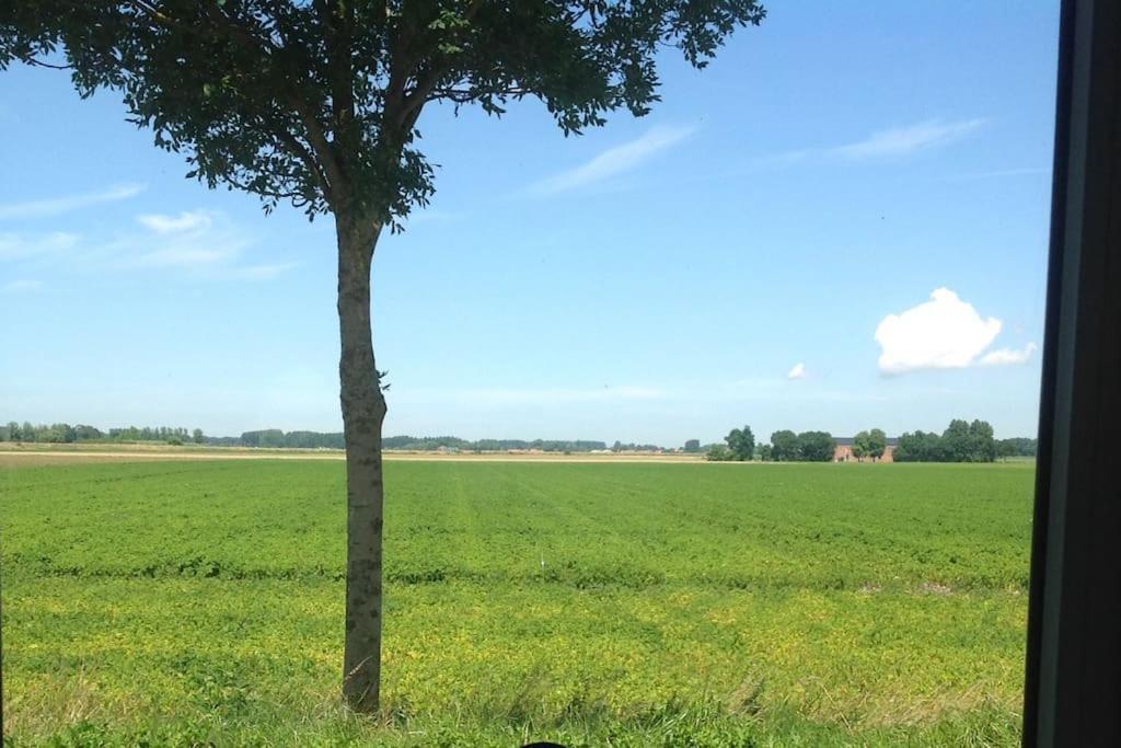 Dijkhuisje Zeeland Waterlandkerkje Екстериор снимка