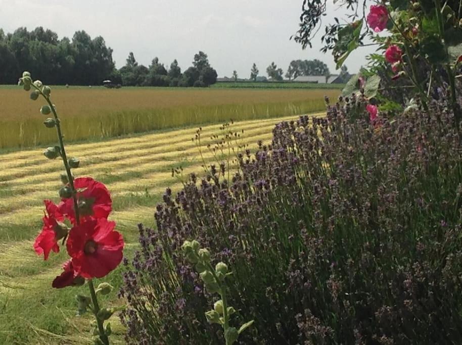 Dijkhuisje Zeeland Waterlandkerkje Екстериор снимка