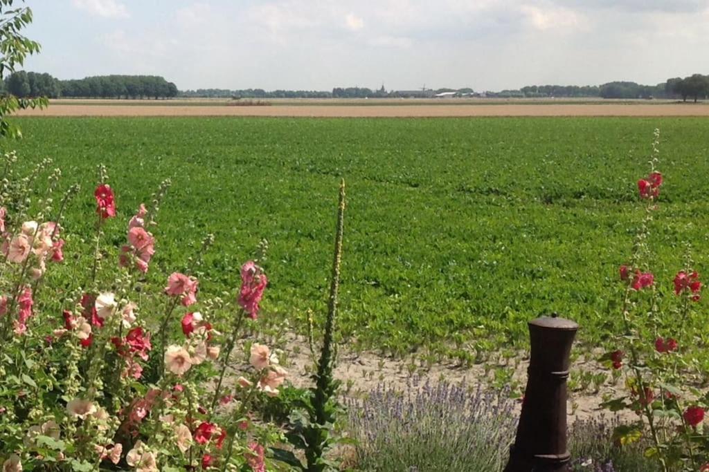 Dijkhuisje Zeeland Waterlandkerkje Екстериор снимка