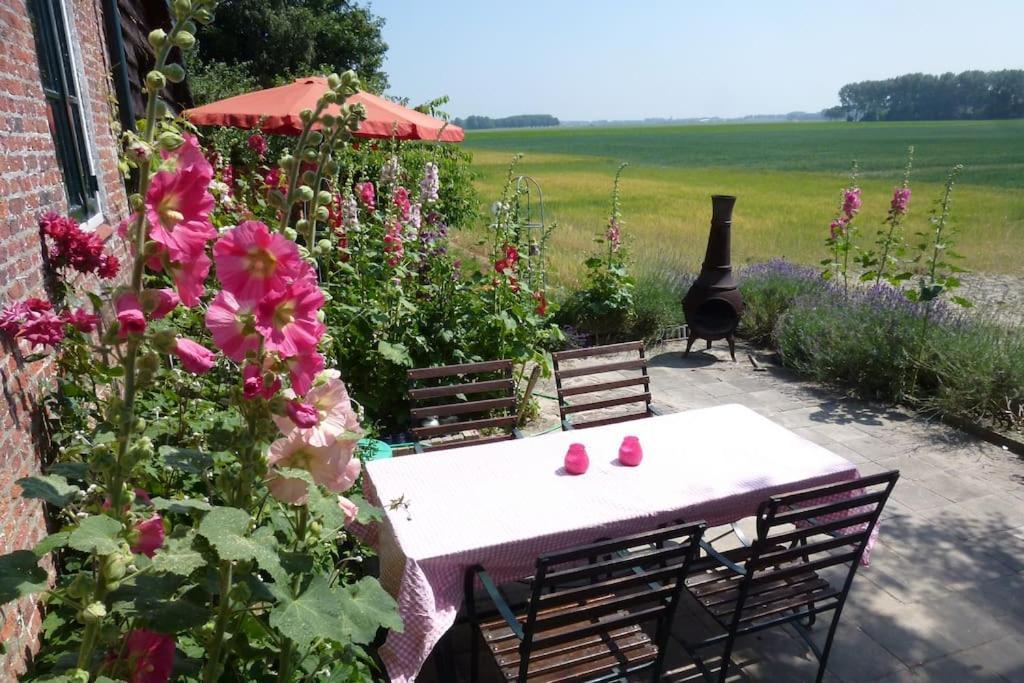 Dijkhuisje Zeeland Waterlandkerkje Екстериор снимка