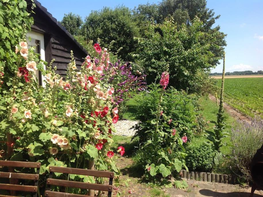 Dijkhuisje Zeeland Waterlandkerkje Екстериор снимка